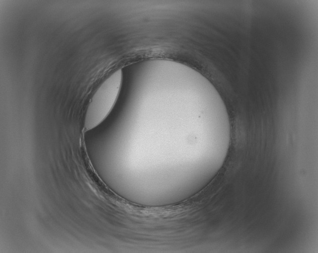 X0000077370022200610201026