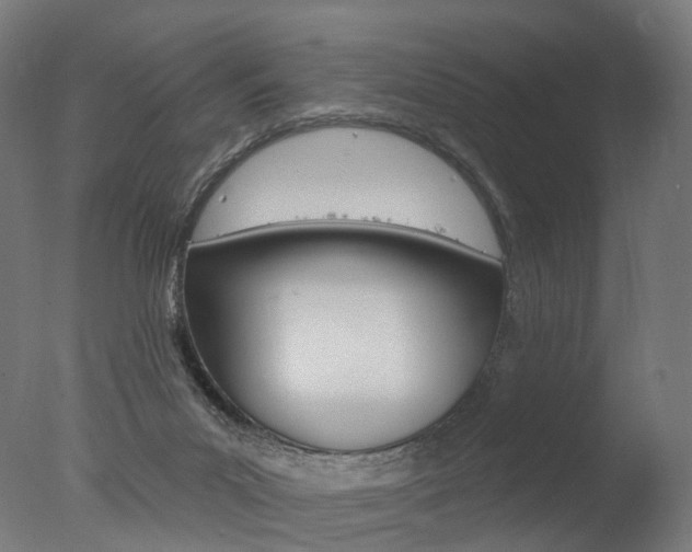 X0000077370023200610201026