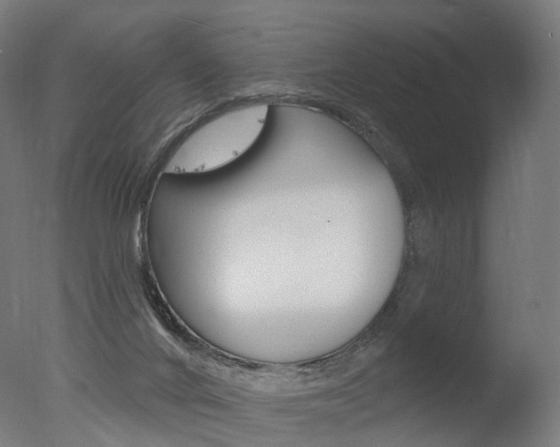 X0000077370024200610201026