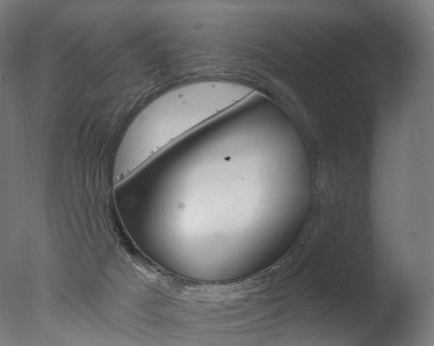 X0000077370025200610201026