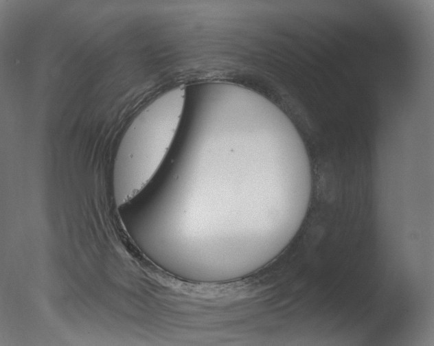 X0000077370026200610201026