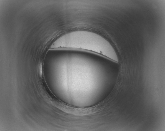 X0000077370027200610201026