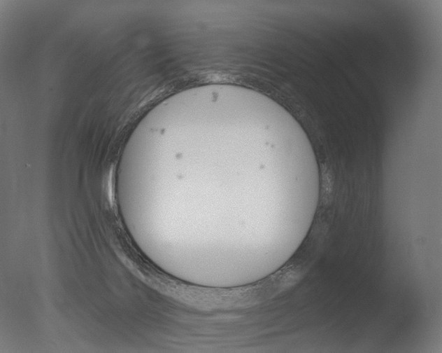 X0000077370028200610201026