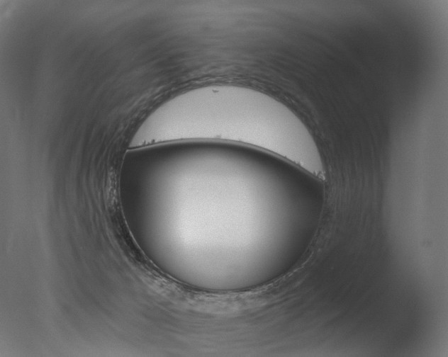 X0000077370029200610201026