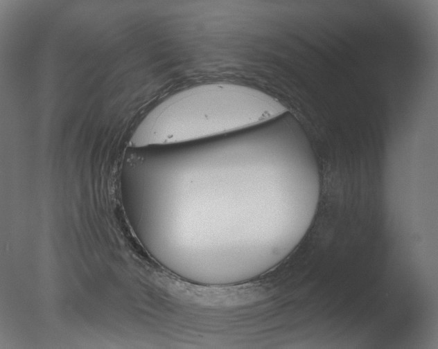 X0000077370030200610201026