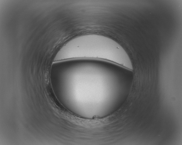 X0000077370031200610201026