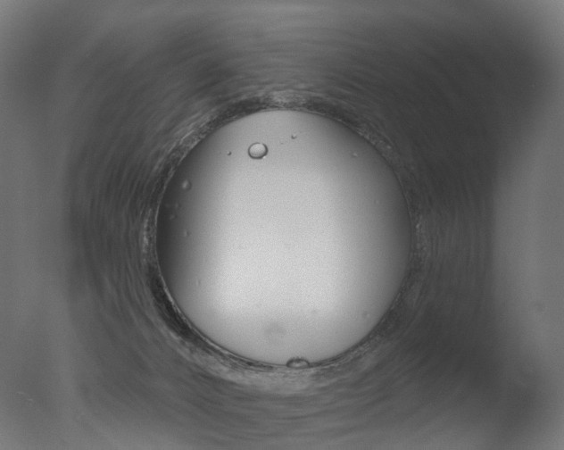 X0000077370032200610201026