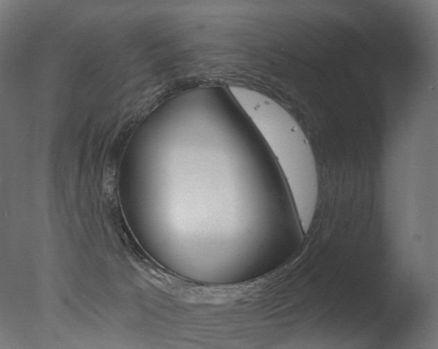 X0000077370033200610201026