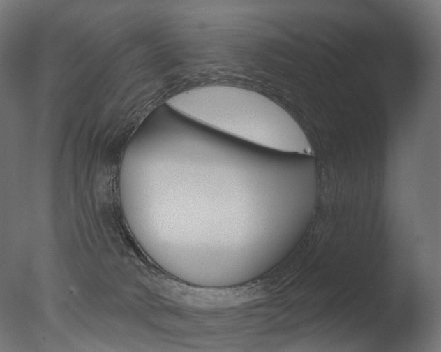 X0000077370034200610201026