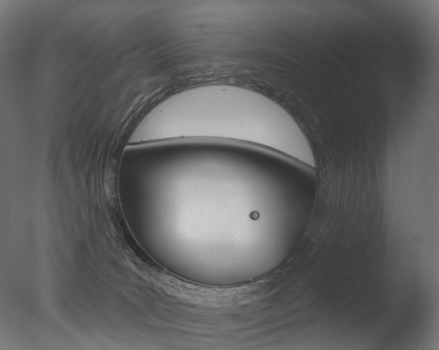 X0000077370035200610201026