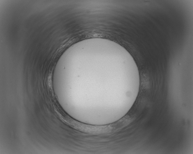 X0000077370036200610201026