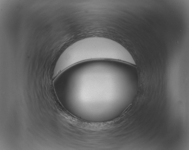 X0000077370037200610201026