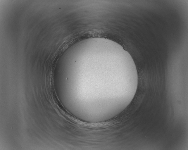 X0000077370038200610201026