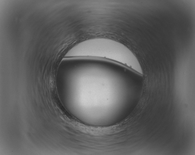 X0000077370039200610201026