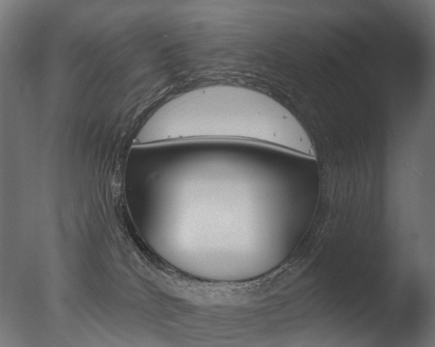 X0000077370040200610201026