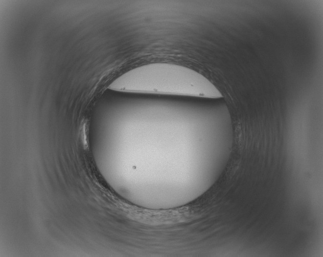 X0000077370042200610201025