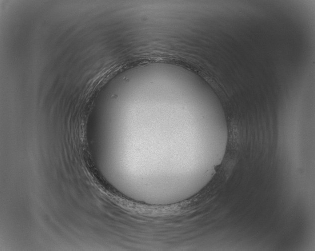 X0000077370043200610201025