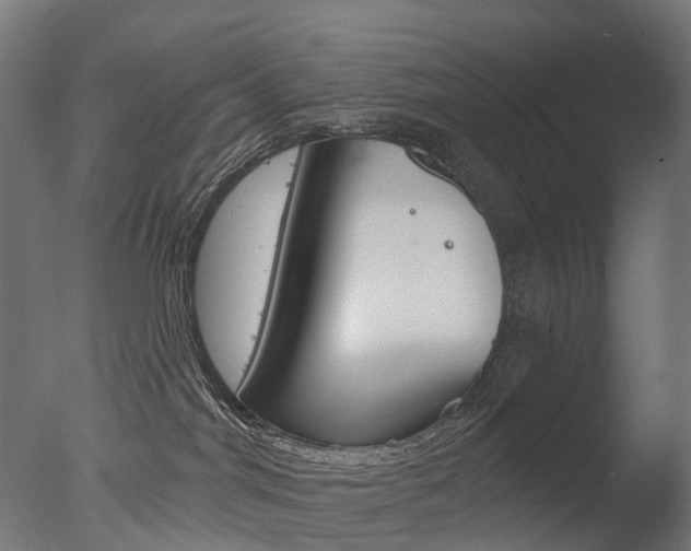 X0000077370044200610201025