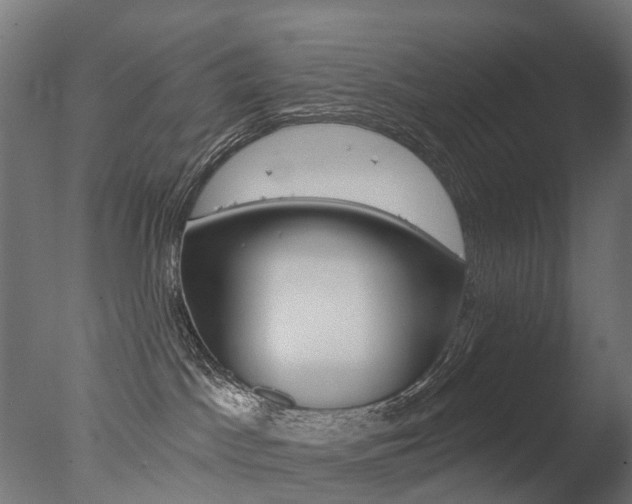 X0000077370045200610201025