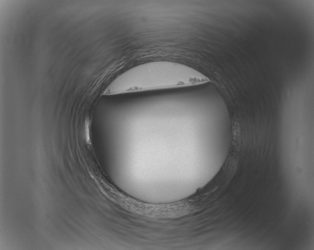 X0000077370046200610201025