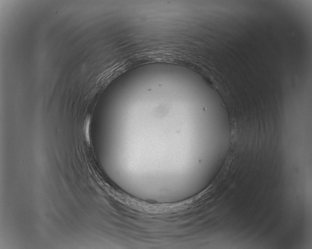 X0000077370047200610201025