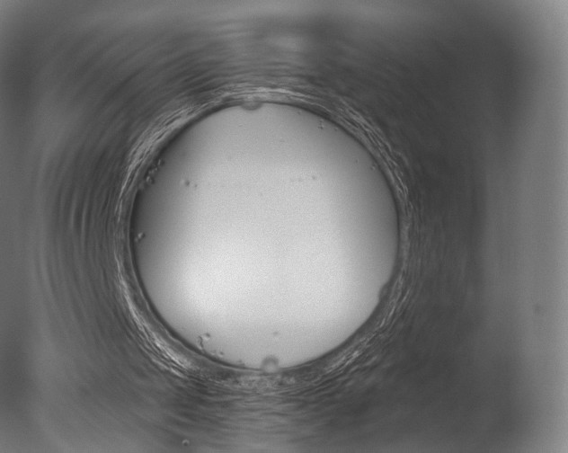 X0000077370049200610201025