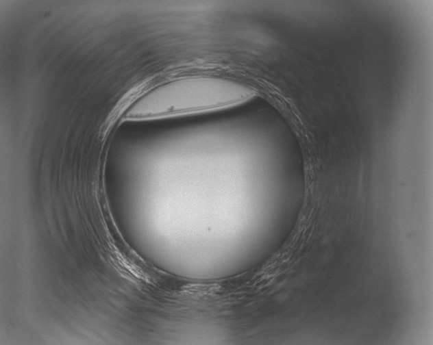 X0000077370051200610201025