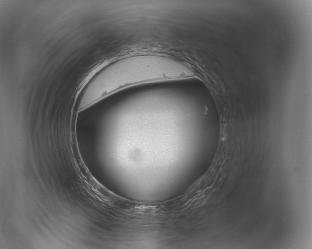 X0000077370052200610201025