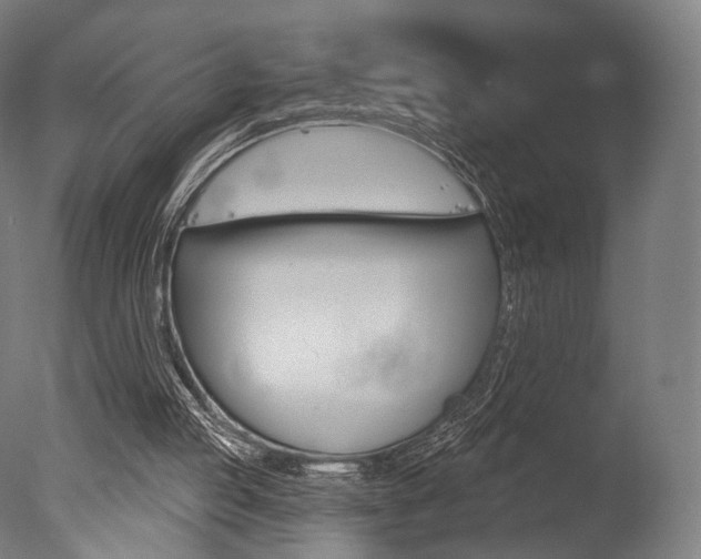 X0000077370053200610201025