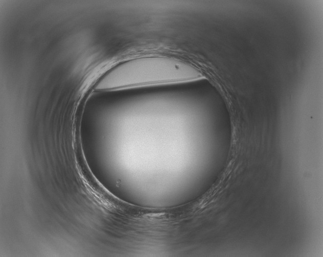 X0000077370054200610201025