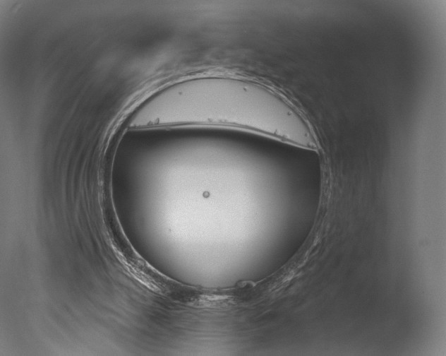 X0000077370055200610201025