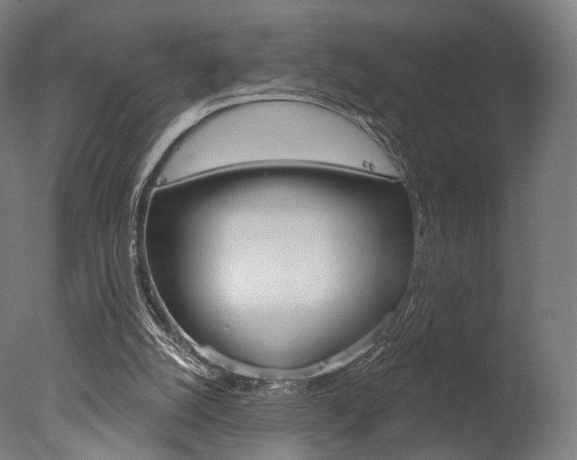 X0000077370056200610201025