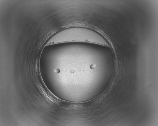 X0000077370057200610201025