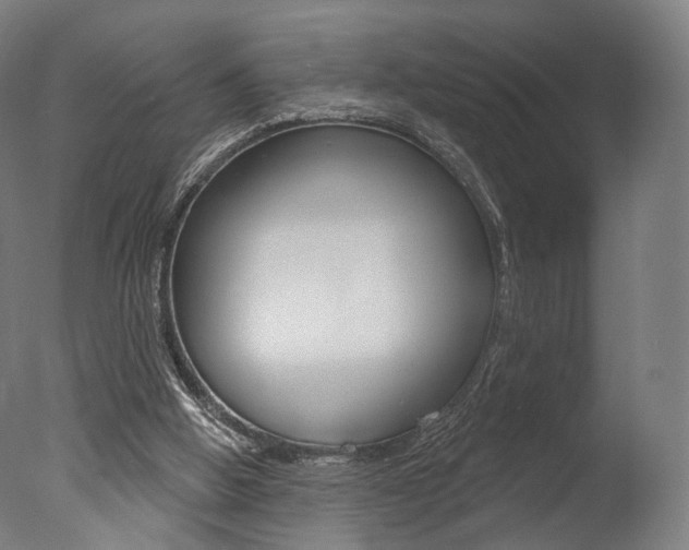 X0000077370058200610201025