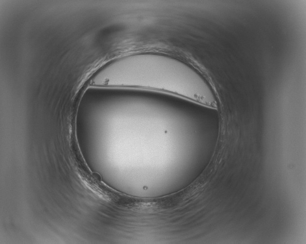 X0000077370059200610201025