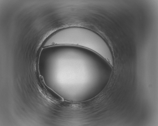 X0000077370060200610201025