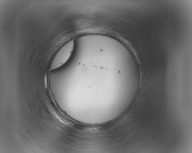 X0000077370061200610201025