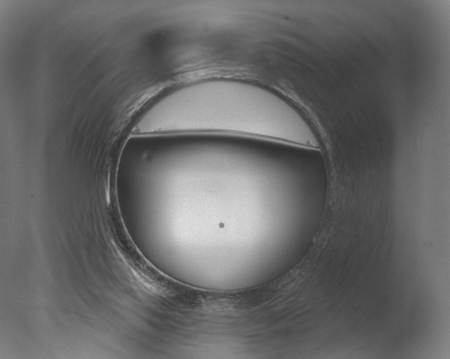 X0000077370062200610201025