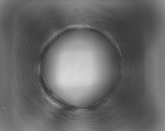 X0000077370063200610201025