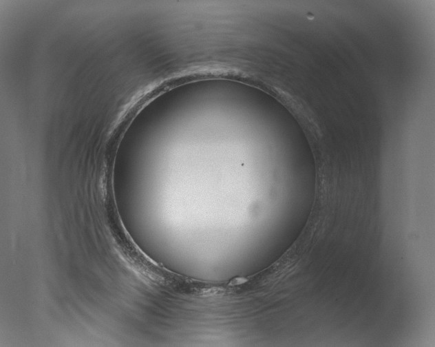 X0000077370064200610201025