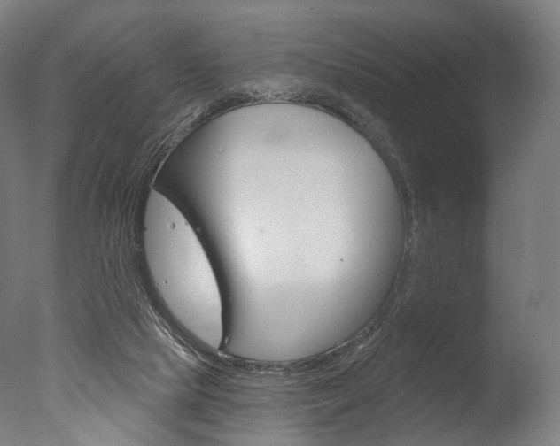 X0000077370065200610201025