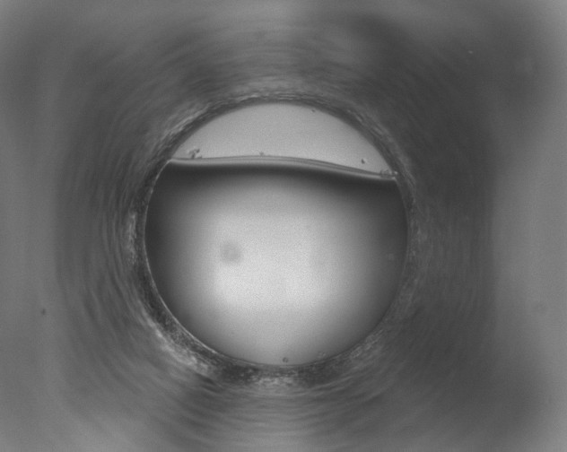 X0000077370066200610201025