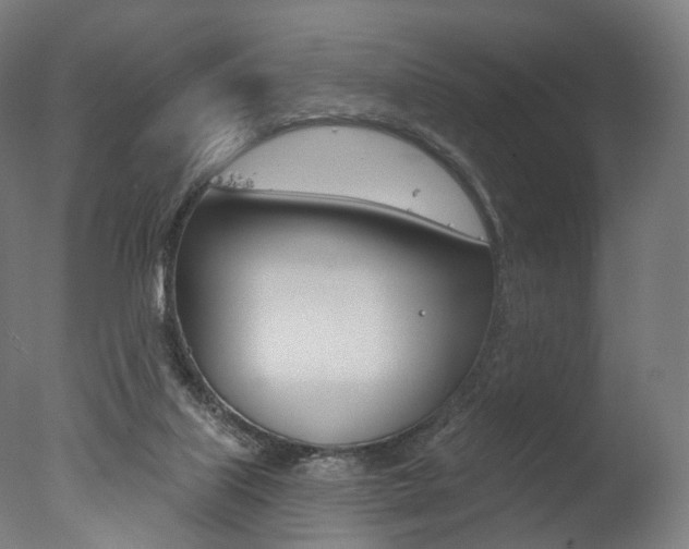 X0000077370067200610201025