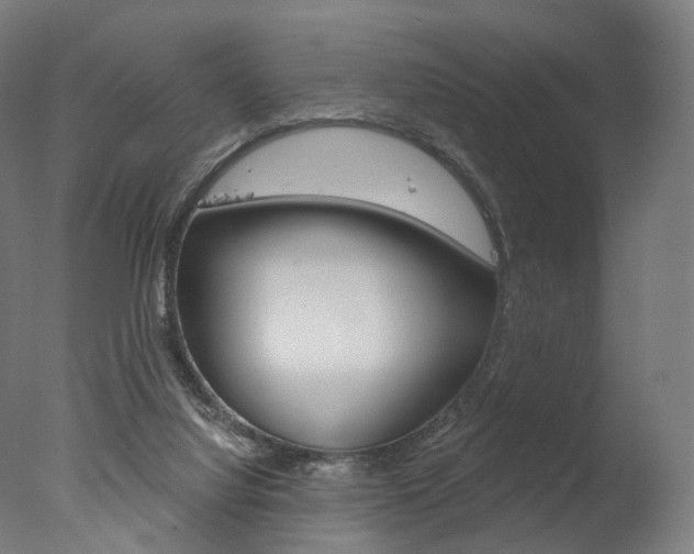 X0000077370068200610201025