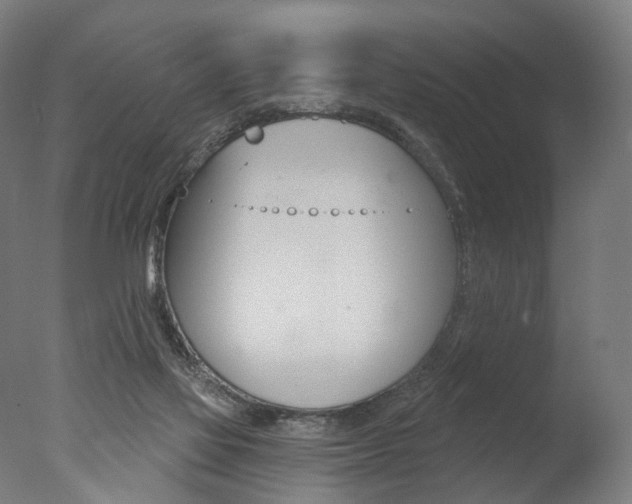 X0000077370069200610201025