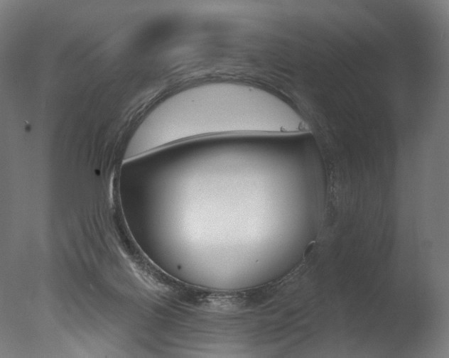 X0000077370070200610201025