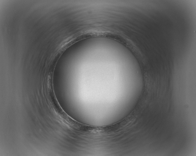 X0000077370071200610201025