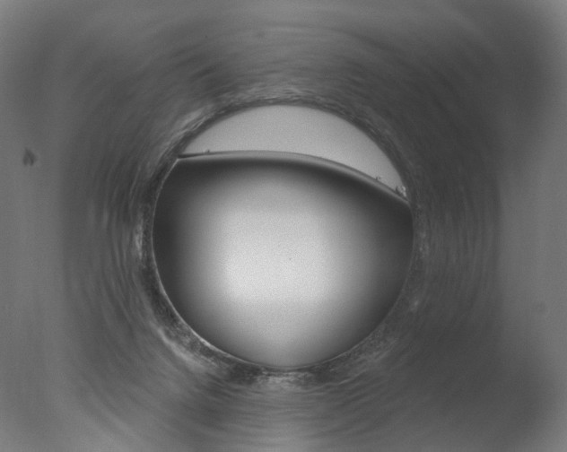 X0000077370072200610201025