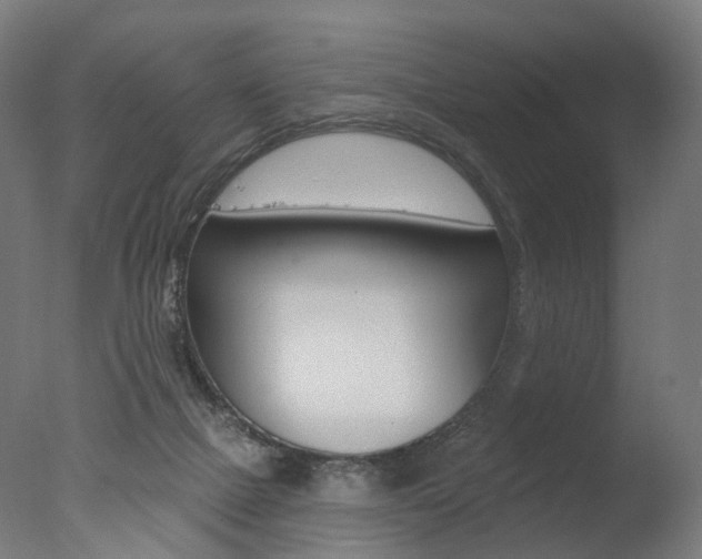 X0000077370073200610201025