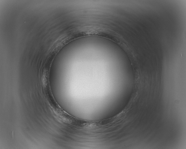 X0000077370074200610201025